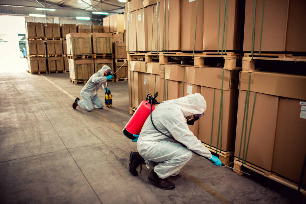 Best Termite Control Services  in Lake Station, IN