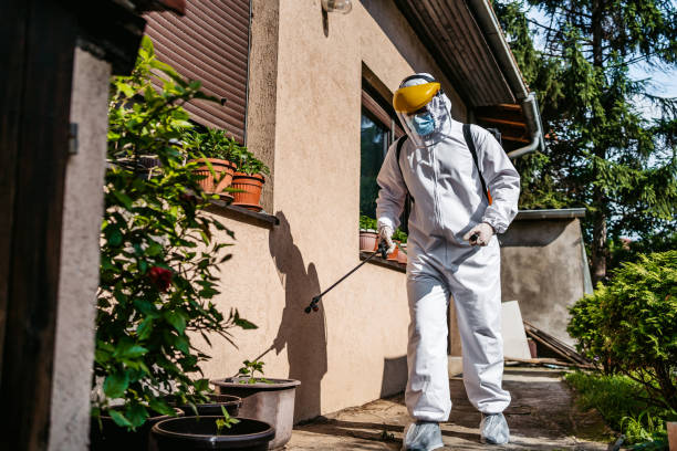 Best Local Pest Control Services  in Lake Station, IN