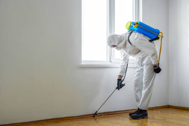 Best Affordable Pest Control Services  in Lake Station, IN