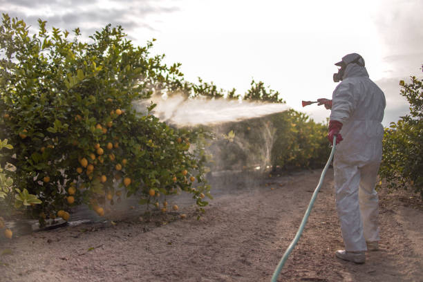 Best Best Pest Control Companies  in Lake Station, IN