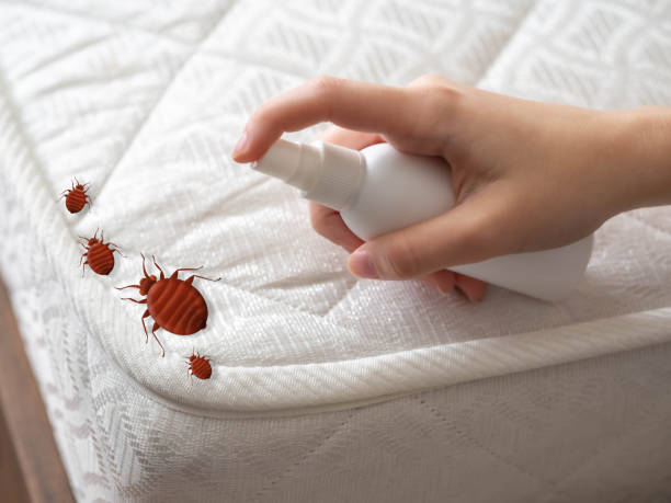 Best Affordable Pest Control Services  in Lake Station, IN