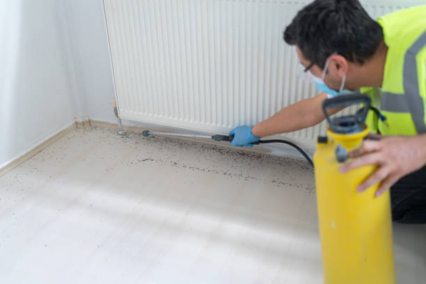 Best Pest Removal Services  in Lake Station, IN